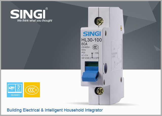 HL30-100 Isolating Switch